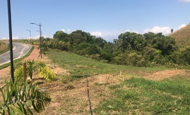 LOTE EN VENTA CERRITOS PEREIRA