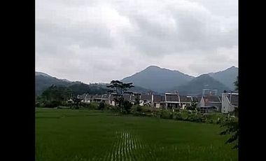 Cheap Land For Sale 20 Ha in Cihampelas West Bandung City