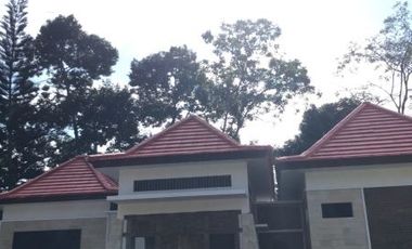 VILLA EXLUSIVE BARU DULL FURNITURE CANTIK DI BOROBUDUR MAGELANG