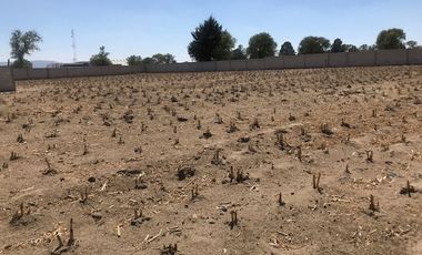 Terreno en VENTA San José Chiapa Audi