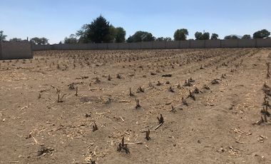 Terreno en VENTA San José Chiapa Audi