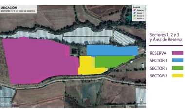HUERTA DE ARANDANOS EN VENTA EN TZINTZUNTZAN, MICHOACAN
