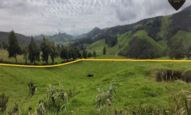 Terreno de venta en Tarqui - Sector Manzano Pamba – código:19460