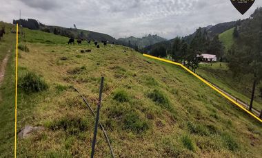 Terreno de venta en Tarqui - Sector Manzano Pamba – código:19460