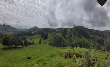 Terreno de venta en Tarqui - Sector Manzano Pamba – código:19460