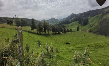 Terreno de venta en Tarqui - Sector Manzano Pamba – código:19460