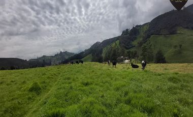 Terreno de venta en Tarqui - Sector Manzano Pamba – código:19460