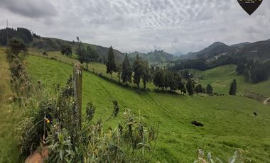 Terreno de venta en Tarqui - Sector Manzano Pamba – código:19460