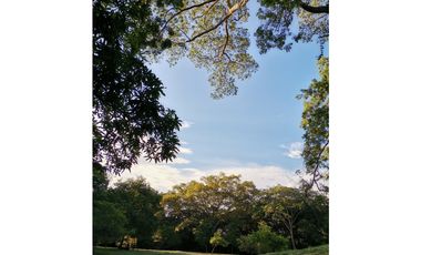 VENDO LOTE EN SOPETRAN ANTIOQUIA