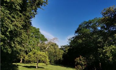 VENDO LOTE EN SOPETRAN ANTIOQUIA