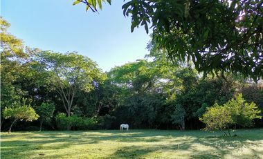 VENDO LOTE EN SOPETRAN ANTIOQUIA