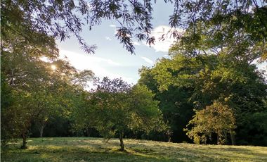 VENDO LOTE EN SOPETRAN ANTIOQUIA