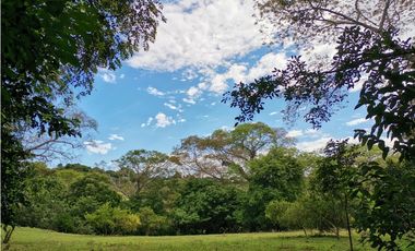 VENDO LOTE EN SOPETRAN ANTIOQUIA
