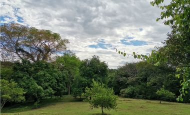 VENDO LOTE EN SOPETRAN ANTIOQUIA