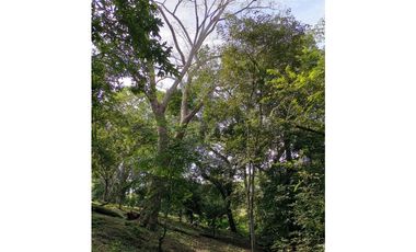 VENDO LOTE EN SOPETRAN ANTIOQUIA