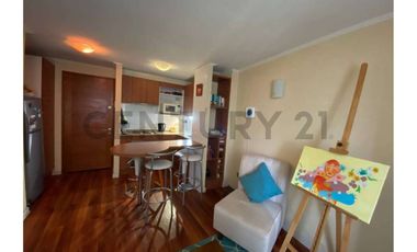 Céntrico departamento en Avenida Brasil.