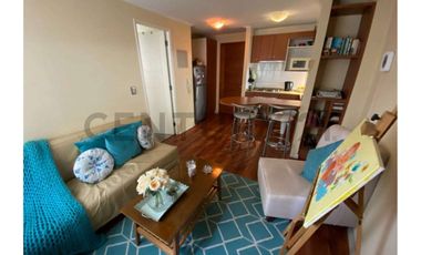 Céntrico departamento en Avenida Brasil.