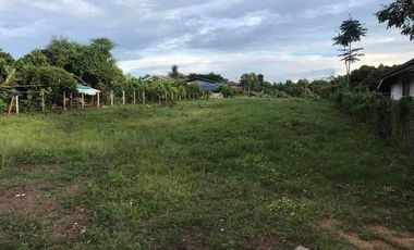 Land for sale in Mae Faek Mai, Chiang Mai