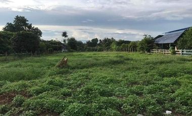 Land for sale in Mae Faek Mai, Chiang Mai