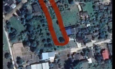 Land for sale in Mae Faek Mai, Chiang Mai