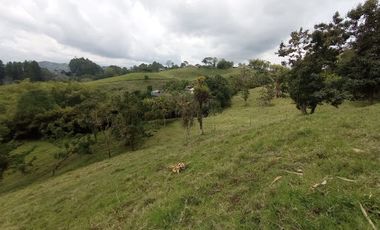 VENTA de FINCAS en PEREIRA