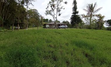VENTA de FINCAS en PEREIRA