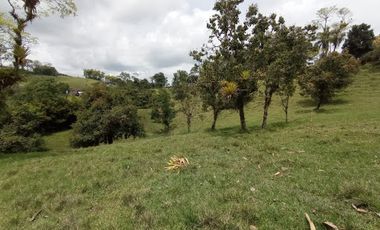 VENTA de FINCAS en PEREIRA