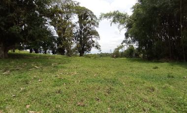 VENTA de FINCAS en PEREIRA