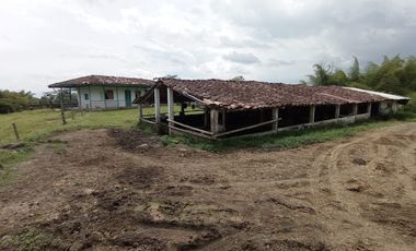 VENTA de FINCAS en PEREIRA
