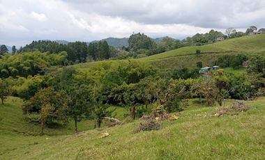 VENTA de FINCAS en PEREIRA