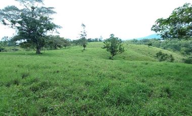 VENTA de FINCAS en PEREIRA