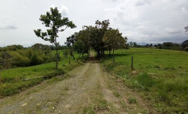 VENTA de FINCAS en PEREIRA