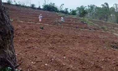 Cheap land for sale 10 hectares in Cimanggung Sumedang City
