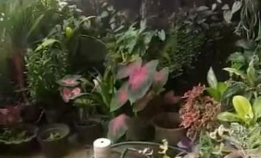 Jual rukam strategis dekat jalan raya jalur angkot di Munjul Purwakarta