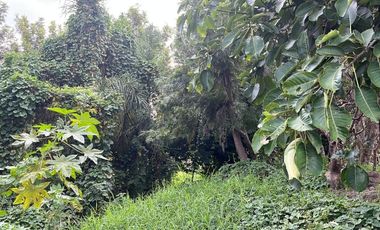 SE VENDE TERRENO EN ATLIXCO PRECIO DE OPORTUNIDAD, MUY CERCA ZONA GASTRONOMICA ATLIXCO PUEBLA