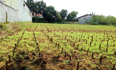 Angsur 12X Tanpa Bunga