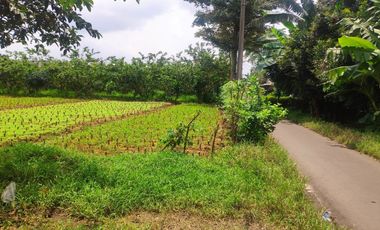 Angsur 12X Tanpa Bunga