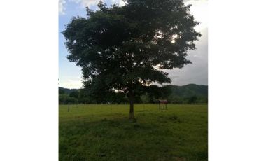 VENTA DE CUATRO HECTAREAS EN SAN CARLOS,CORDOBA