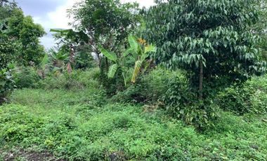 Rumah Konsep Heritage Di Prambanan
