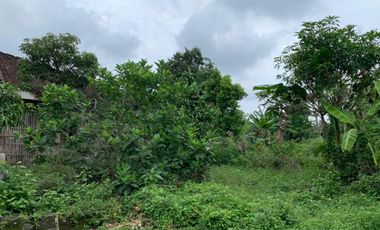 Rumah Konsep Heritage Di Prambanan