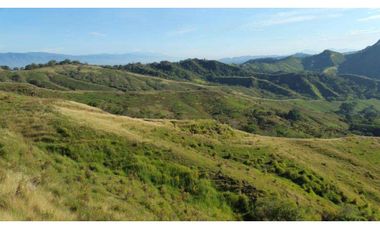 EXCELENTE FINCA GANADERA EN VENTA ZARZAL LA PAILA VALLE DEL CAUCA