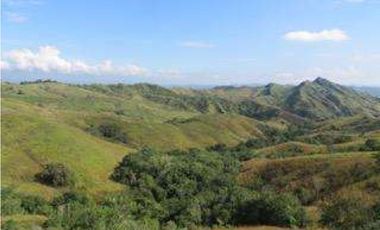 EXCELENTE FINCA GANADERA EN VENTA ZARZAL LA PAILA VALLE DEL CAUCA