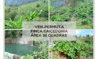 VEN-PERMUTO FINCA EN CAICEDONIA 36 CUADRAS 4891