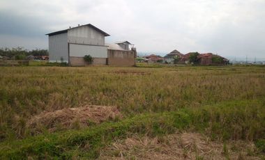 6584 M2 Tanah Sawah, Desa Cimerang, Padalarang, Bandung Barat