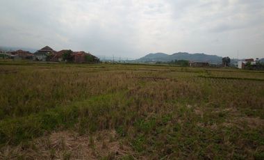 6584 M2 Tanah Sawah, Desa Cimerang, Padalarang, Bandung Barat