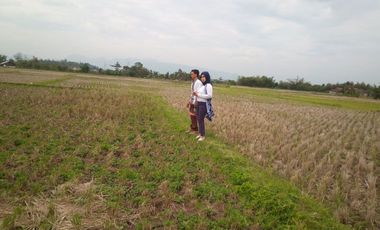 6584 M2 Tanah Sawah, Desa Cimerang, Padalarang, Bandung Barat