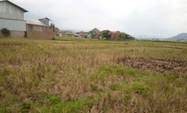 6584 M2 Tanah Sawah, Desa Cimerang, Padalarang, Bandung Barat