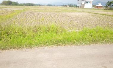6584 M2 Tanah Sawah, Desa Cimerang, Padalarang, Bandung Barat