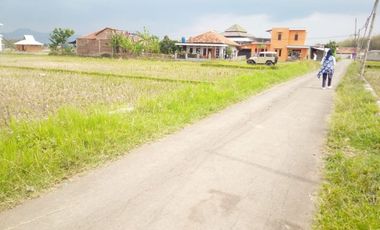 6584 M2 Tanah Sawah, Desa Cimerang, Padalarang, Bandung Barat
