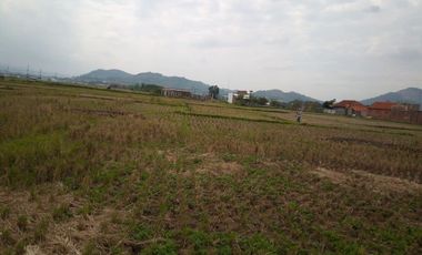6584 M2 Tanah Sawah, Desa Cimerang, Padalarang, Bandung Barat